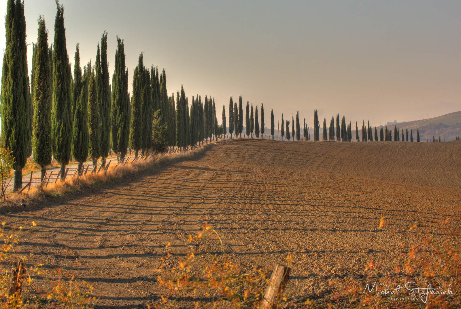 IMG 4500 IMG 4504 5 6Enhancer